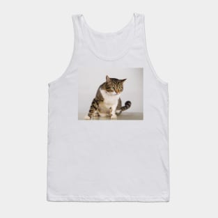 curious cat with big eyes Tank Top